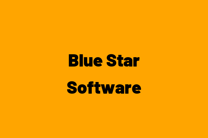 Software Services Company Blue Star Software