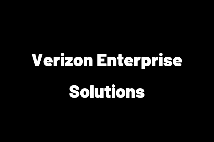 Software Development Company Verizon Enterprise Solutions