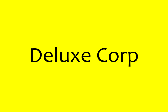 Software Development Company Deluxe Corp