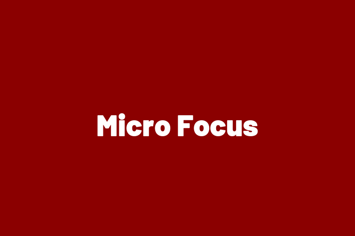 Software Consultancy Micro Focus