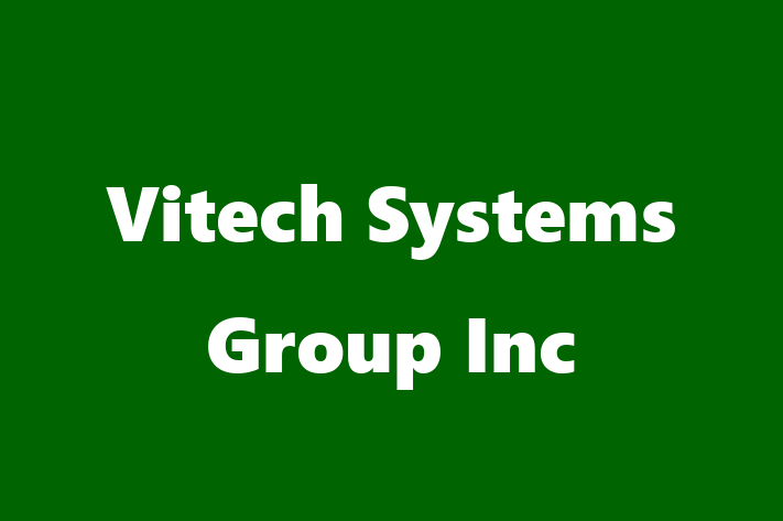 Software Development Company Vitech Systems Group Inc