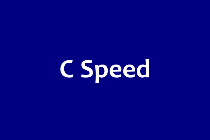 Software Solutions Provider C Speed