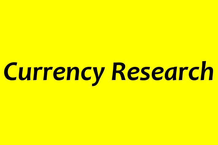 Application Development Company Currency Research