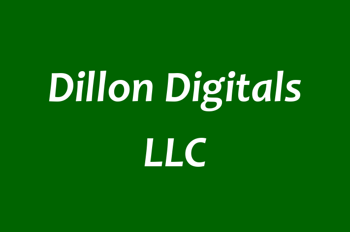 Personnel Management Dillon Digitals LLC