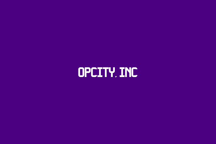 Software Firm OPCITY INC