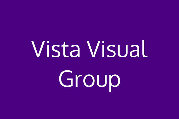 IT Company Vista Visual Group