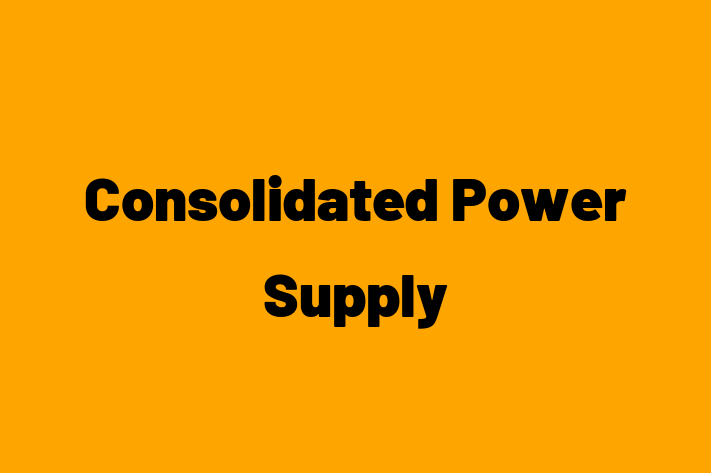 Software Solutions Provider Consolidated Power Supply