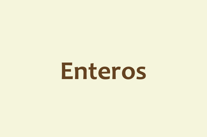 Software Firm Enteros