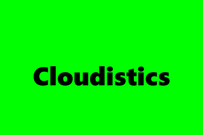 Software Consultancy Cloudistics