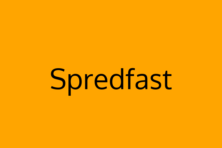 IT Company Spredfast