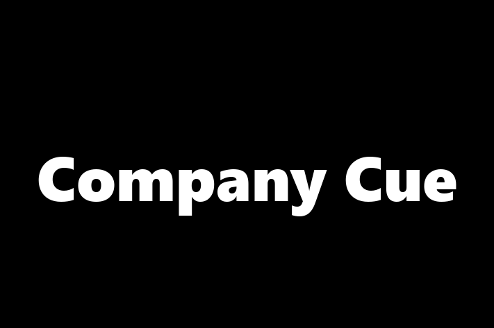 Software Consultancy Company Cue