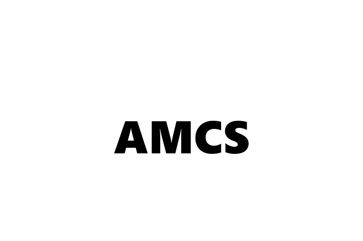 IT Company AMCS