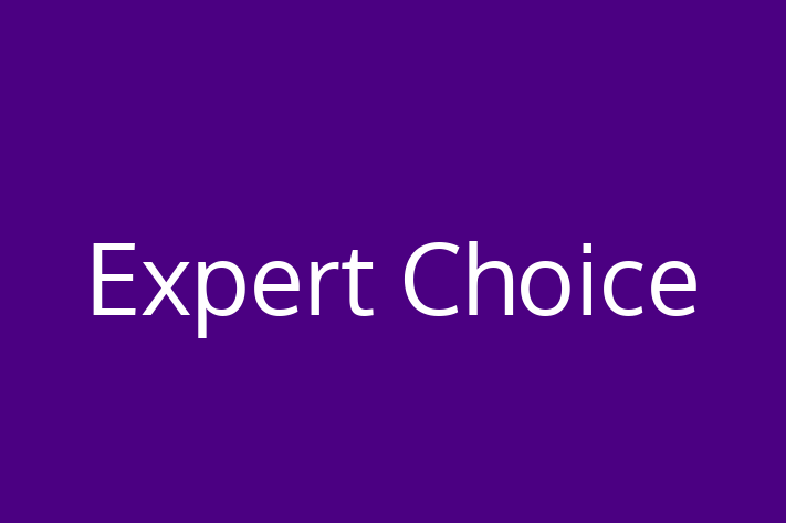 Software Solutions Provider Expert Choice