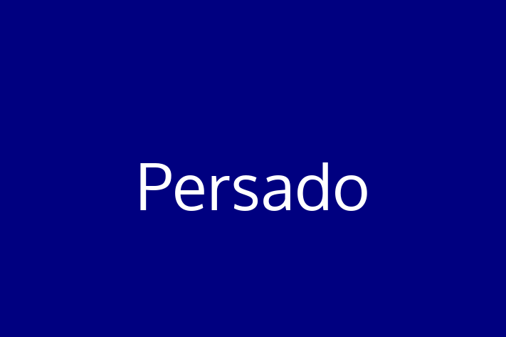 Software Services Company Persado