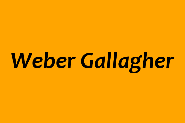 Human Capital Management Weber Gallagher