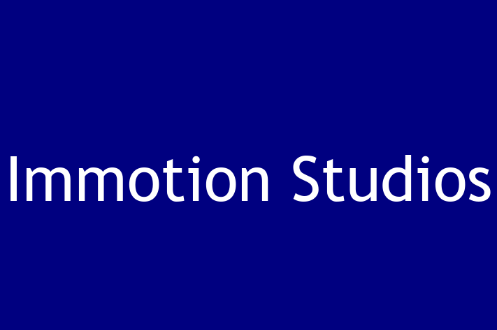 IT Company Immotion Studios