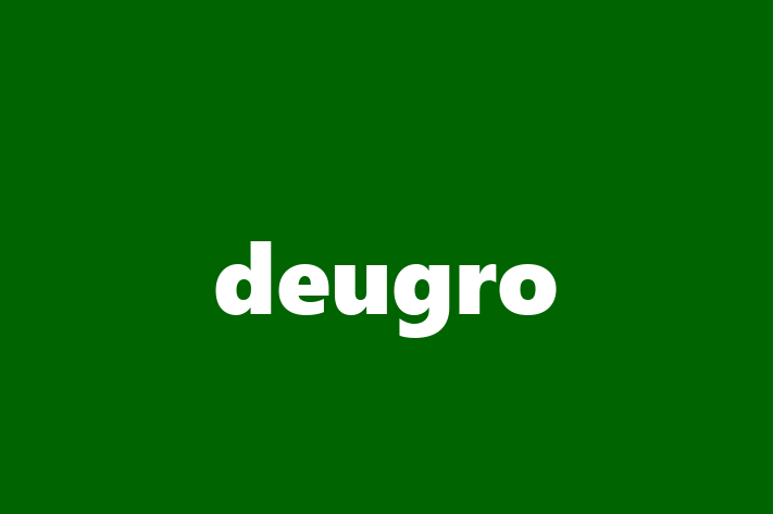 Software Development Firm deugro