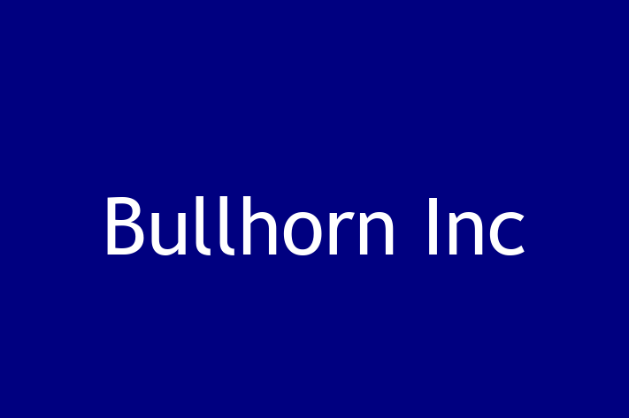 Application Development Company Bullhorn Inc