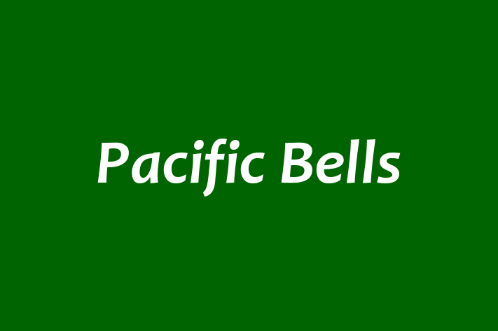 Talent Management Pacific Bells