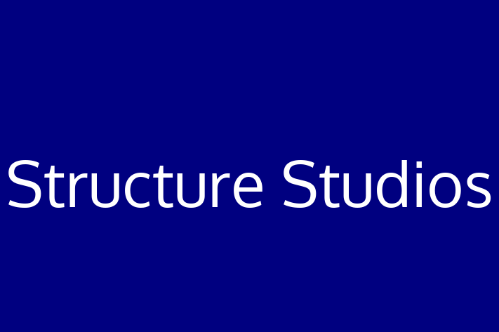 Technology Solutions Firm Structure Studios