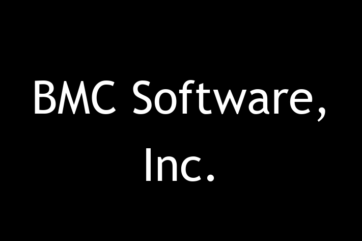 Technology Solutions Firm BMC Software Inc.