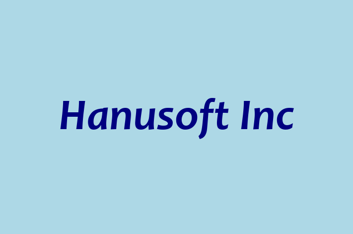 IT Company Hanusoft Inc