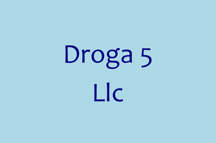 Application Development Company Droga 5 Llc