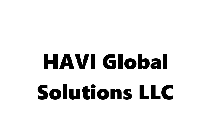 IT Company HAVI Global Solutions LLC