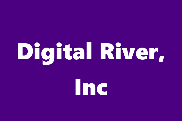 Application Development Company Digital River Inc