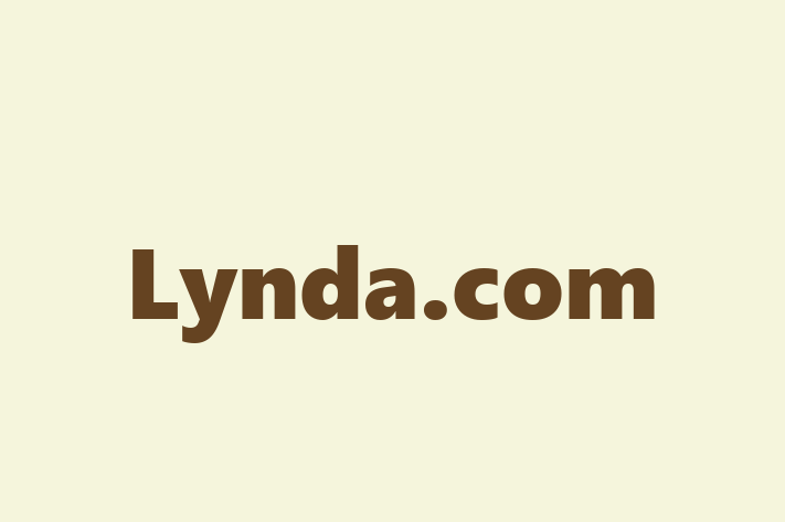 Software Engineering Company Lynda.com