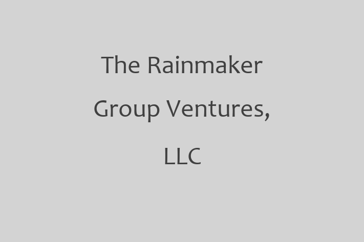 Tech Solutions Company The Rainmaker Group Ventures LLC