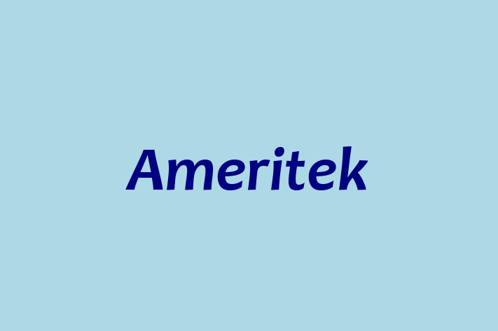 Software Firm Ameritek