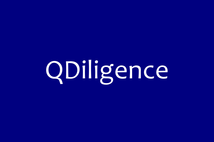 Software Development Company QDiligence