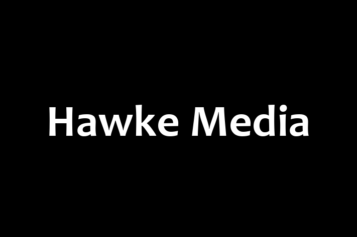 Tech Solutions Company Hawke Media