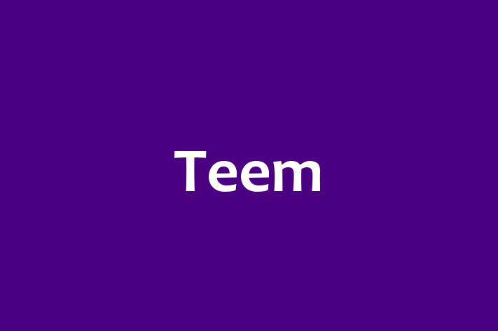 Tech Solutions Company Teem