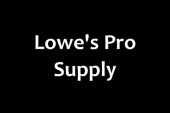 Human Capital Management Lowes Pro Supply