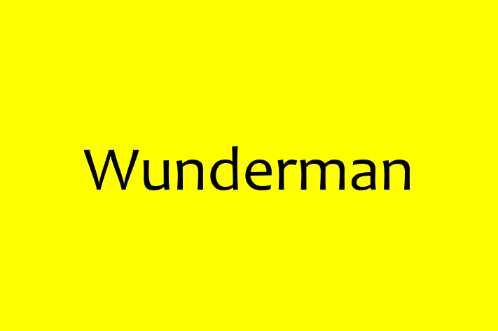 IT Company Wunderman