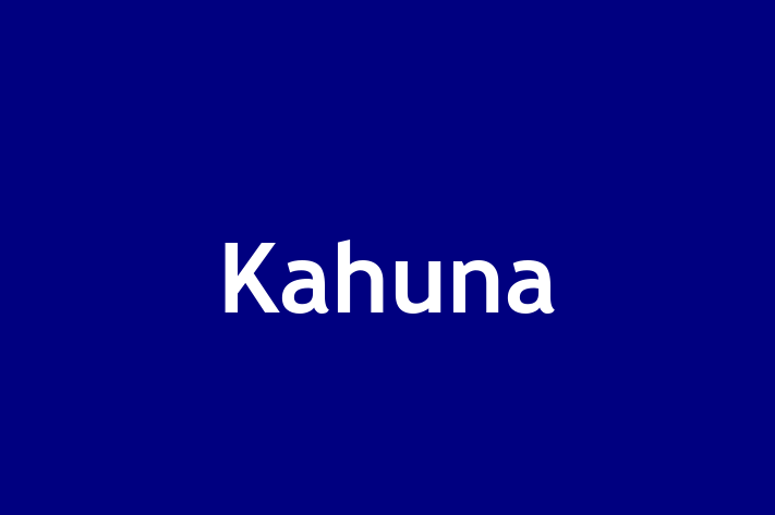 Technology Company Kahuna