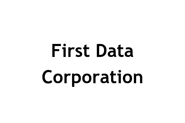 Digital Solutions Provider First Data Corporation