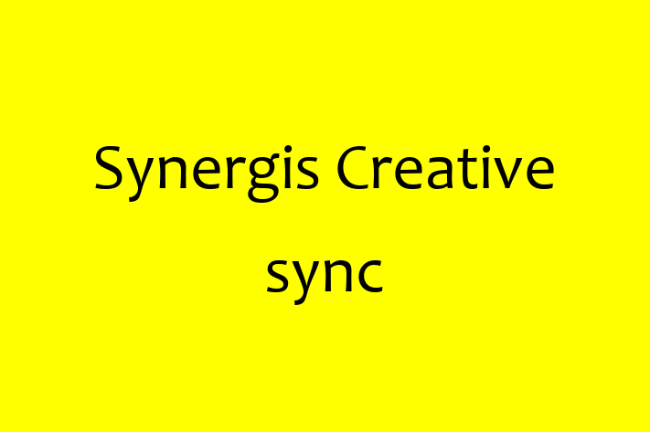 Tech Firm Synergis Creative  sync