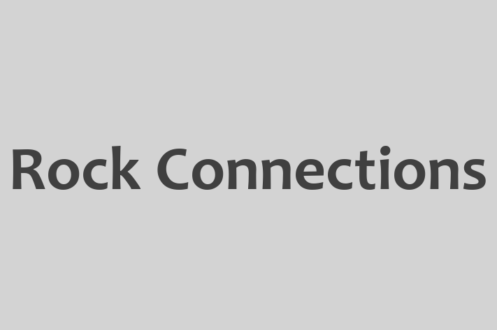 Software Development Firm Rock Connections