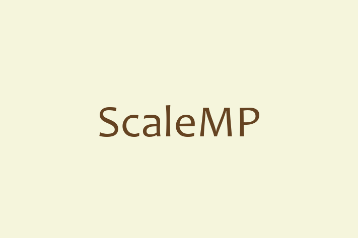 Technology Solutions Firm ScaleMP