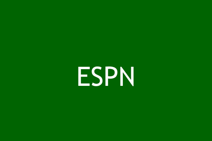 IT Company ESPN