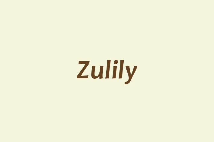 Labor Relations Zulily