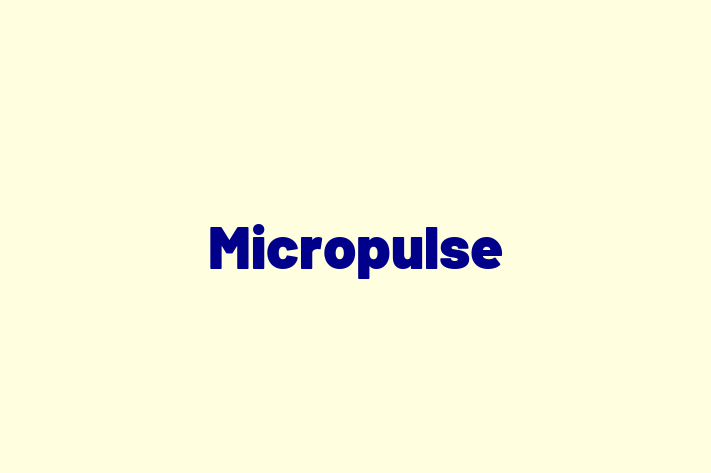 People Management Micropulse