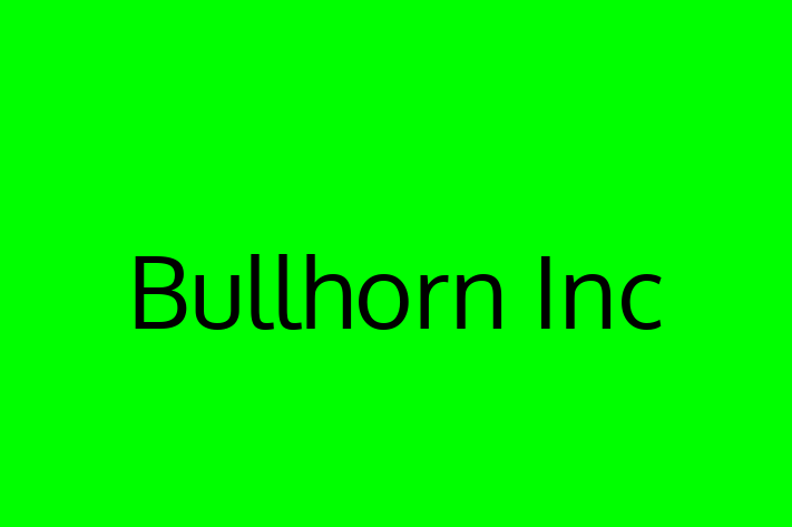 Digital Solutions Provider Bullhorn Inc