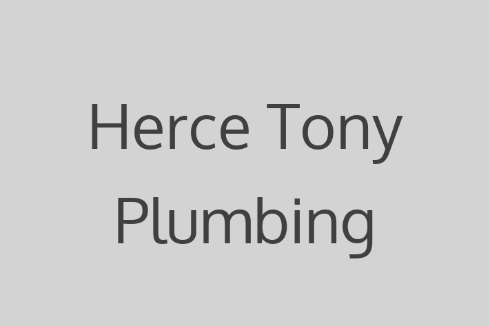 Construction firm Herce Tony Plumbing