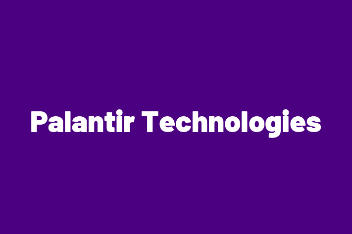 Tech Solutions Company Palantir Technologies