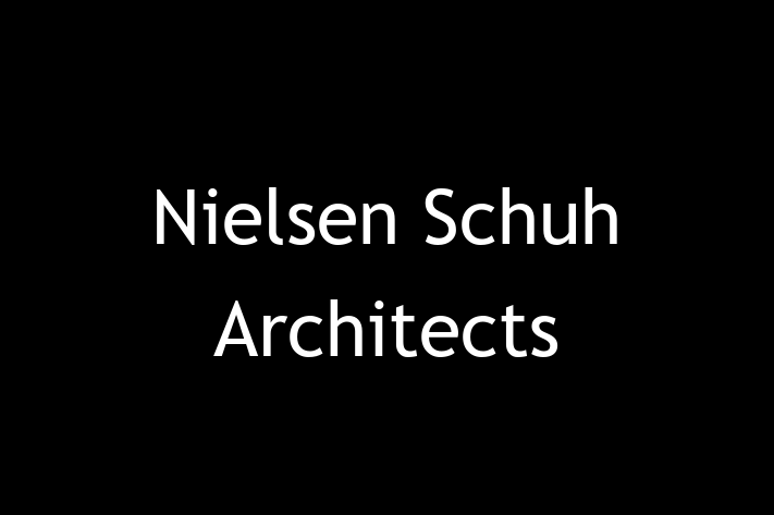 Structural architect Nielsen Schuh Architects