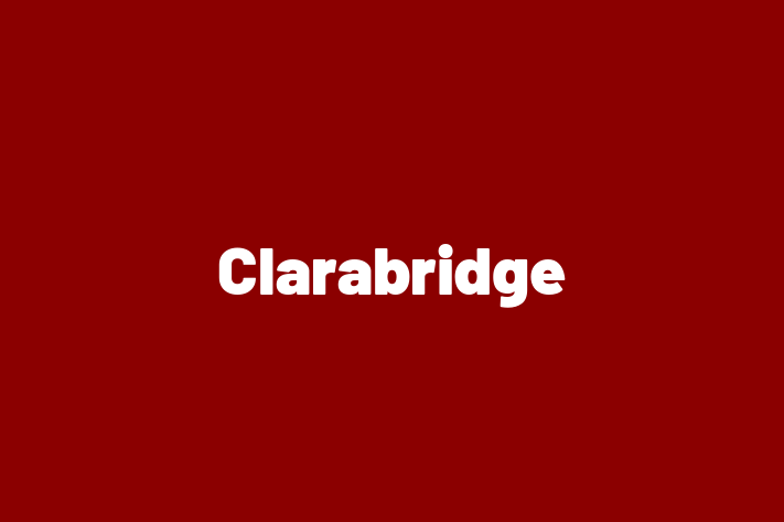 Software Solutions Provider Clarabridge